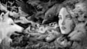 draw black and white illustrations