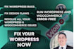 fix your wordpress error, design issue, bugs, server problem, woocommerce, CSS