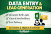 do accurate data entry and b2b lead generation