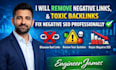 remove negative links toxic backlinks and fix negative SEO professionally