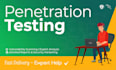 perform penetration testing and security assesment