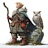 fantasy dnd character illustration