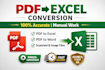 manually convert PDF to excel, sheets with accuracy