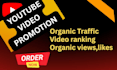 do smart youtube growth views and channel promotion