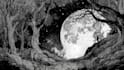 create dark art illustrations in pen and ink