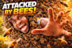 design viral youtube thumbnails