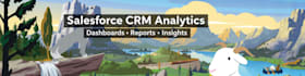 set up your salesforce CRM analytics