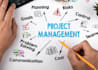 enterprise IT project manager