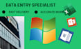 do accurate PDF to excel conversion and excel data entry