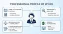 provide expert accounting, journal entries and mis reporting