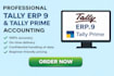 do professional tally erp 9, tally prime accounting