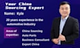 china automotive and parts procurement expert