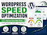 speed up your wordpress website and improve pagespeed score