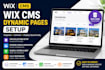 wix cms dynamic pages setup, wix cms collections dynamic pages wix cms setup