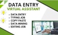 bulk data entry or copy paste and typing