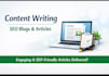 write SEO friendly blog posts and articles that sells