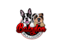 create creative and good looking bulldog logo design
