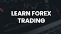 provide a 1 on 1 forex trading masterclass for beginners