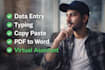 convert PDF to word, excel and do copy paste work
