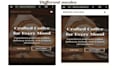design and develop a professional wordpress website using ai