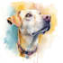 draw watercolor pet portrait