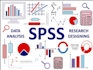 do spss data analysis and quantitative statistical testing