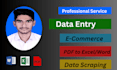 do help with data entry and e commerce data job
