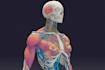create medical and scientific illustrations
