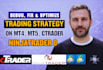 debug, fix, optimize trading strategy on mt4, mt5, ctrader, ninjatrader 8