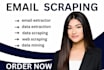 do data scraping  data mining  email extraction  web scraping email extractor