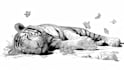create a black and white pen and ink illustration