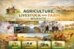 do agriculture website, livestock and farm website design