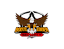 create attractive and imagination eagle logo design