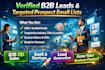 provide verified b2b leads with targeted prospect email lists