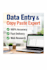 accurate data entry, copy paste and online tasks