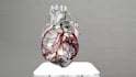 create a realistic 3d model