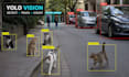 build custom yolo object detection tracking and counting in python