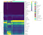 do bioinformatics analysis using r and python