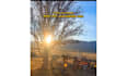 film pet and garden ugc with real home and outdoor scenes
