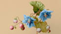 illustrate best botanical illustration