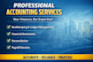 provide professional accounting and bookkeeping services
