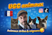 be your professional dog or cat ugc creator for viral pet ads