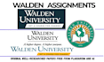 help with walden nursing projects for bsn, msn and dnp