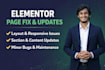 fix elementor layout issues and update page sections