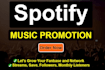 do spotify music track promotion