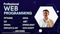 do professional web programming