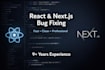 fix react or nextjs bugs and issues professionally