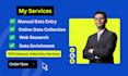 data entry, web research, and data collection