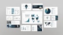 design a professional and visually stunning  presentation