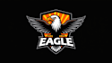 design super flying eagle logo with express delivery